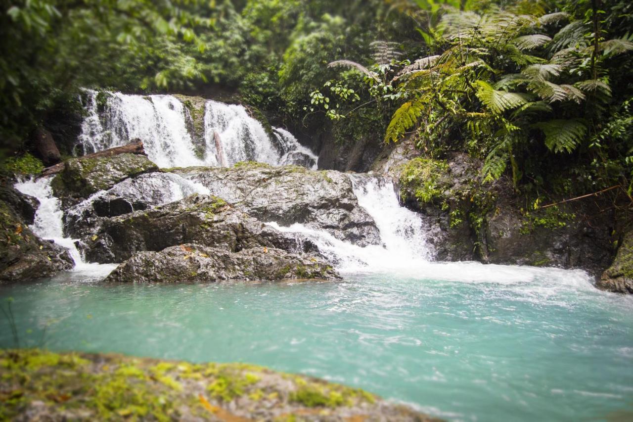 Naguala Jungle Lodge Драке Экстерьер фото