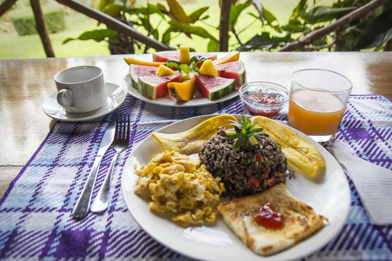 Naguala Jungle Lodge Драке Экстерьер фото