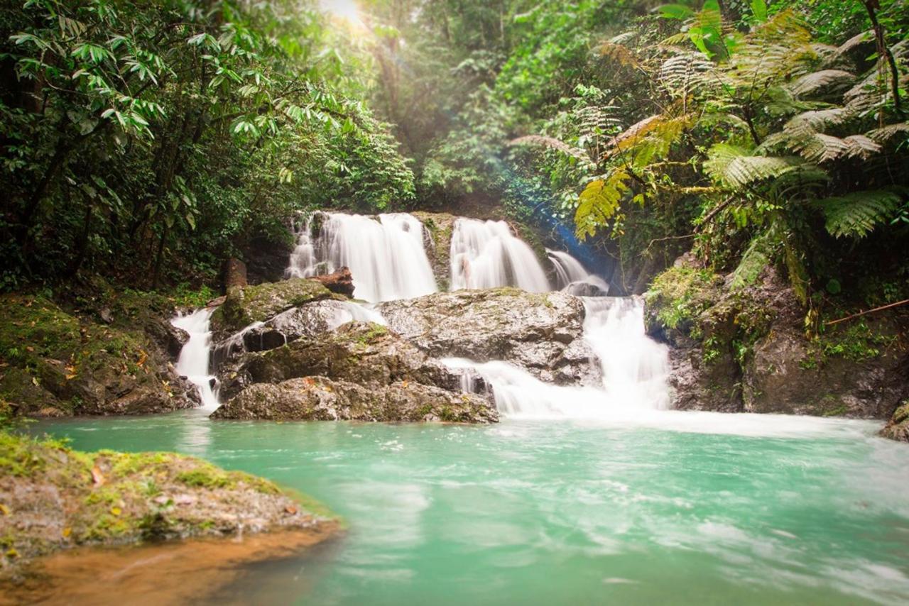 Naguala Jungle Lodge Драке Экстерьер фото