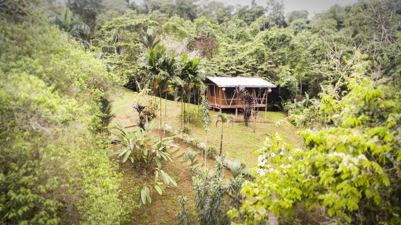 Naguala Jungle Lodge Драке Экстерьер фото