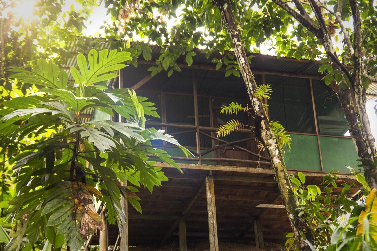 Naguala Jungle Lodge Драке Экстерьер фото